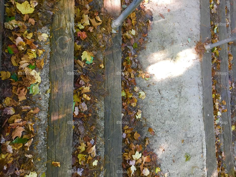 Fallen leaves on stairs 