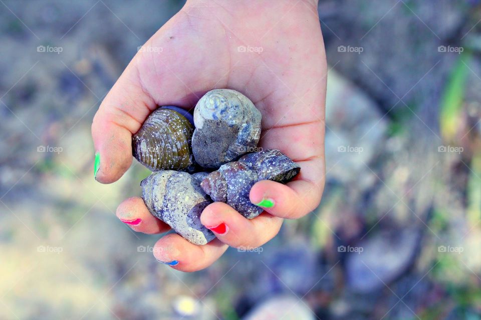 Shells in kid hand