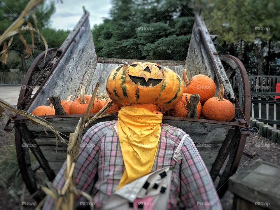 Pumpkin scarecrow leaning on cart