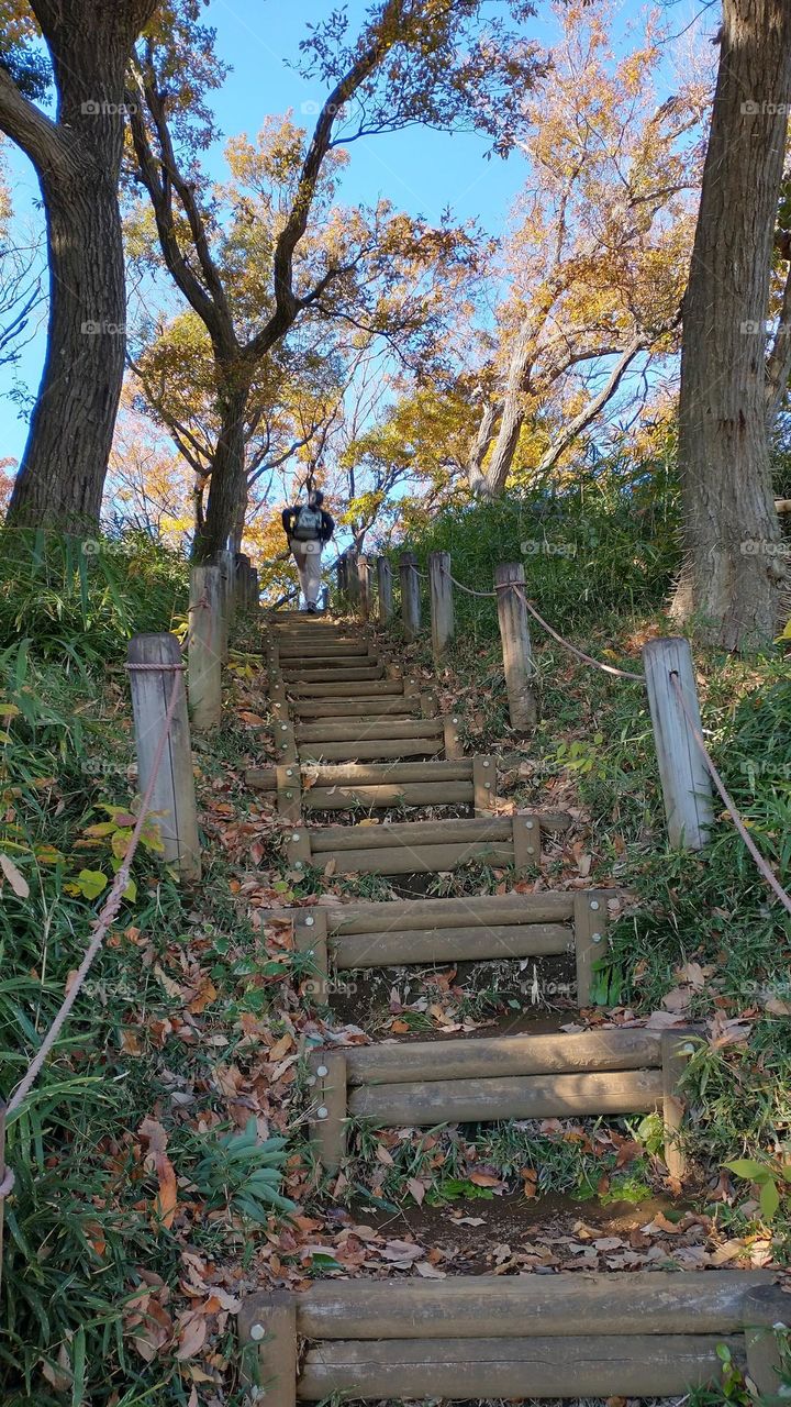 Stairs and autumn 