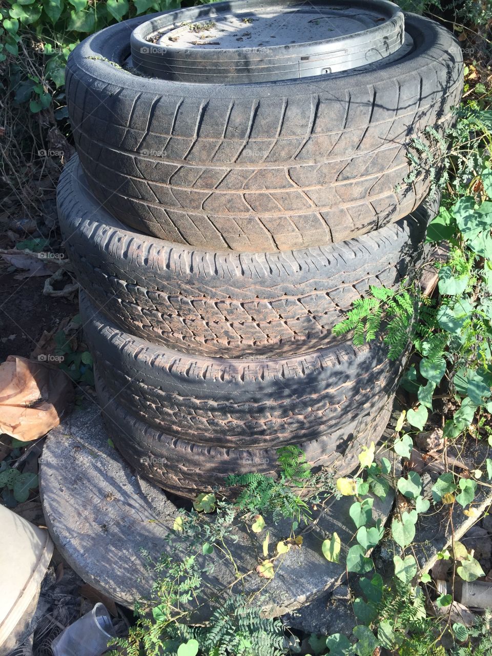 Old tire.