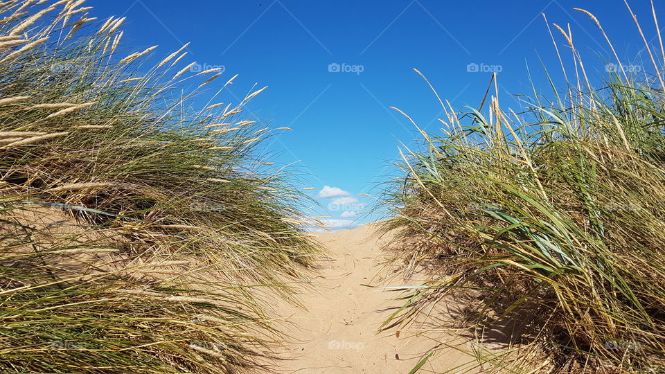 Going to the beach  - på väg till stranden Tylösand 