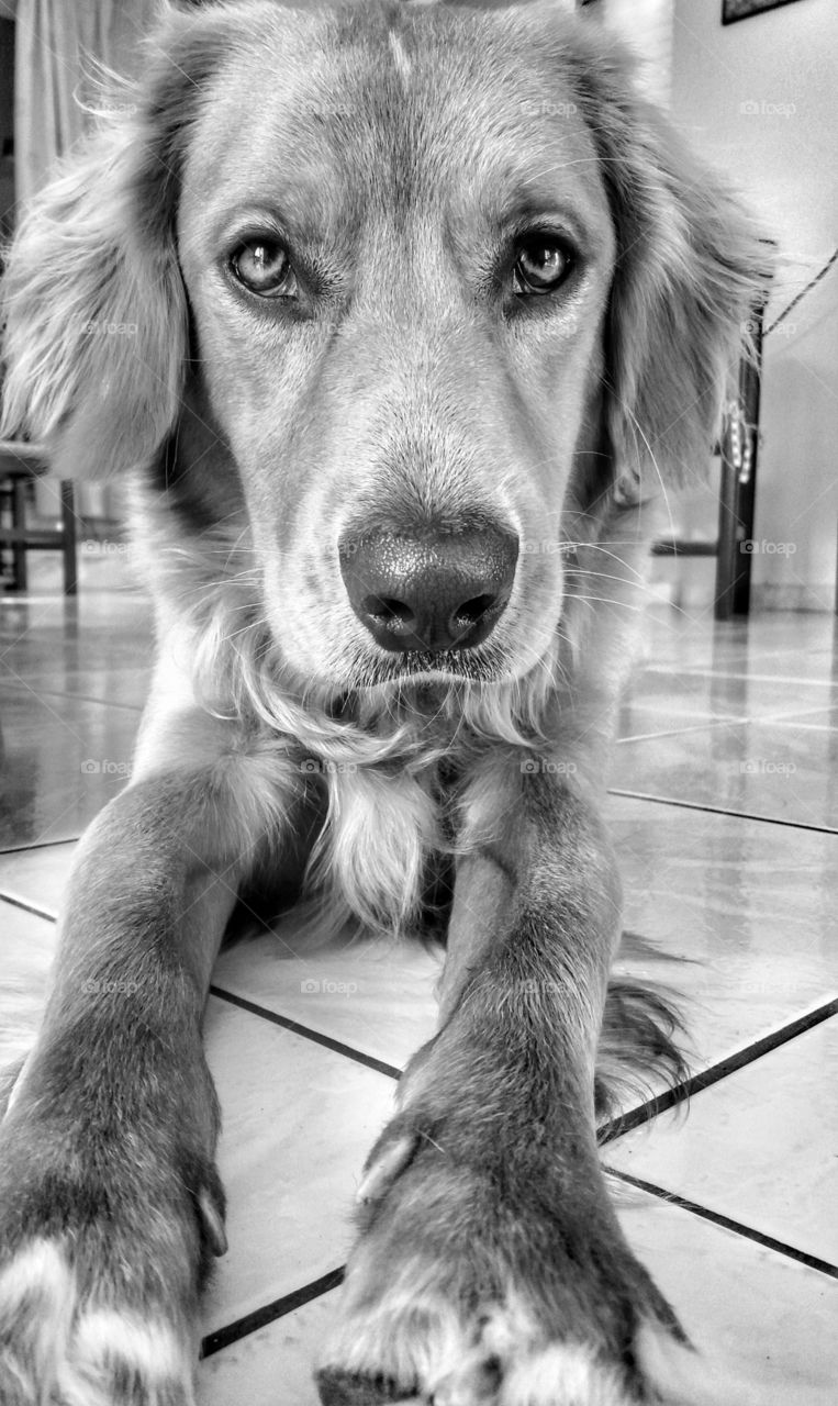 His eyes - my world!