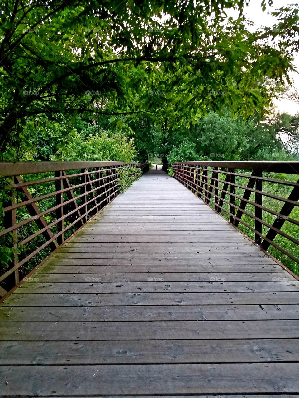 Hiking trails are amazing, specially the hidden bridges.