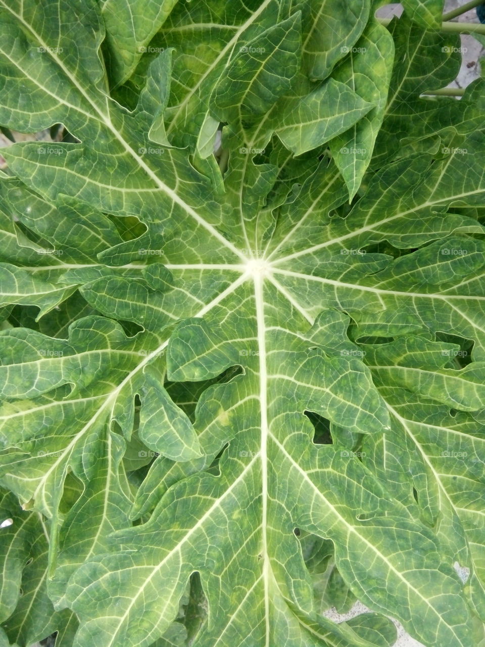 A great photo, a photo for everyone,a memorable photo,a no.  photo,a photo to cherish,a beautiful photo,a great photo for the best people,an evergreen photo,a photo to remember for years, the best result of great photography