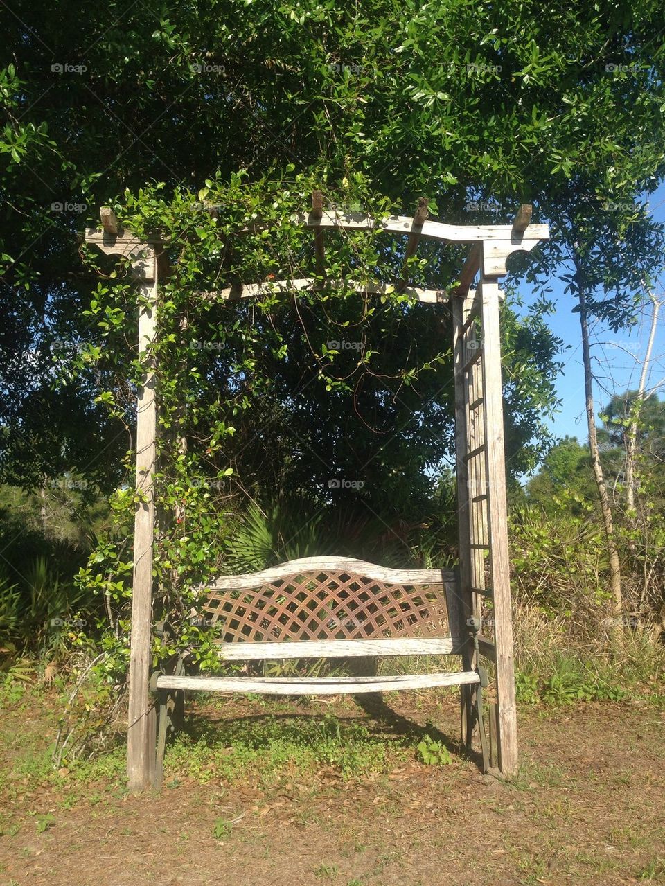 Rustic bench with trellis