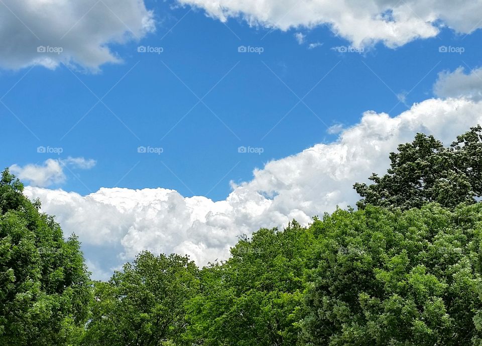 Til the Clouds Roll By