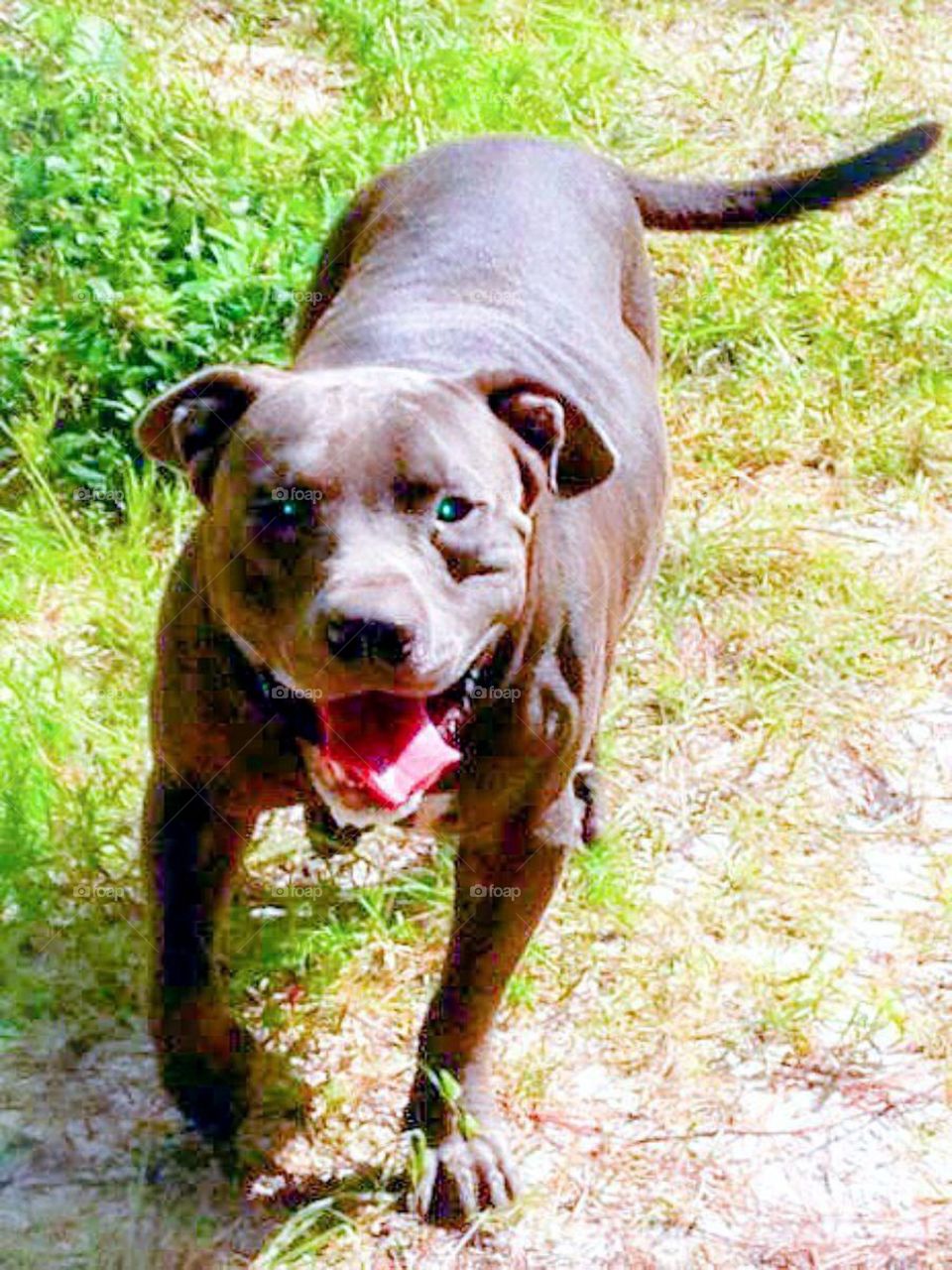 Blue pit