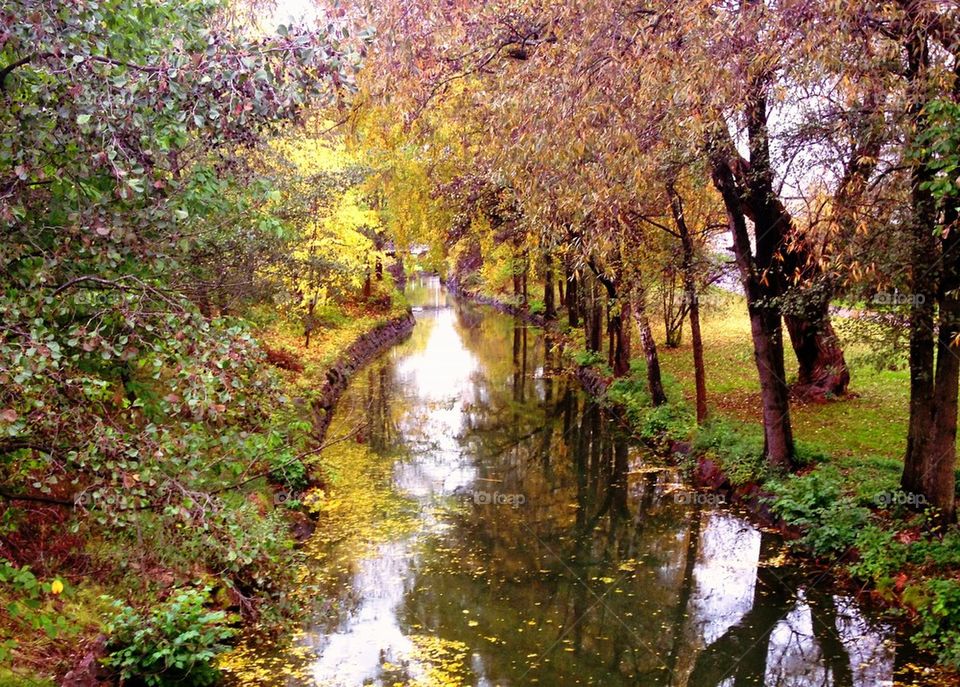  Autumn at the river