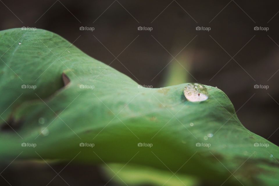 walaupun sedikit dia adalah sumber kehidupan