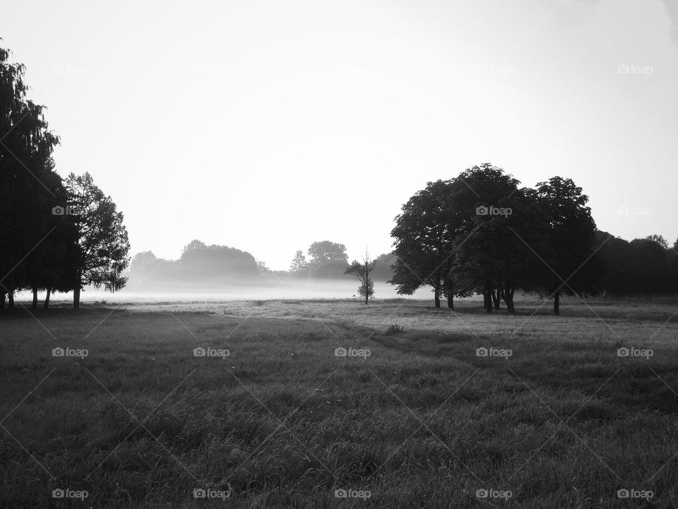 View of field against clear sky