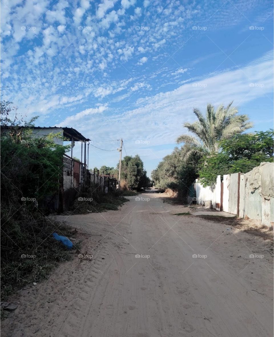 The rural road is quiet and beautiful