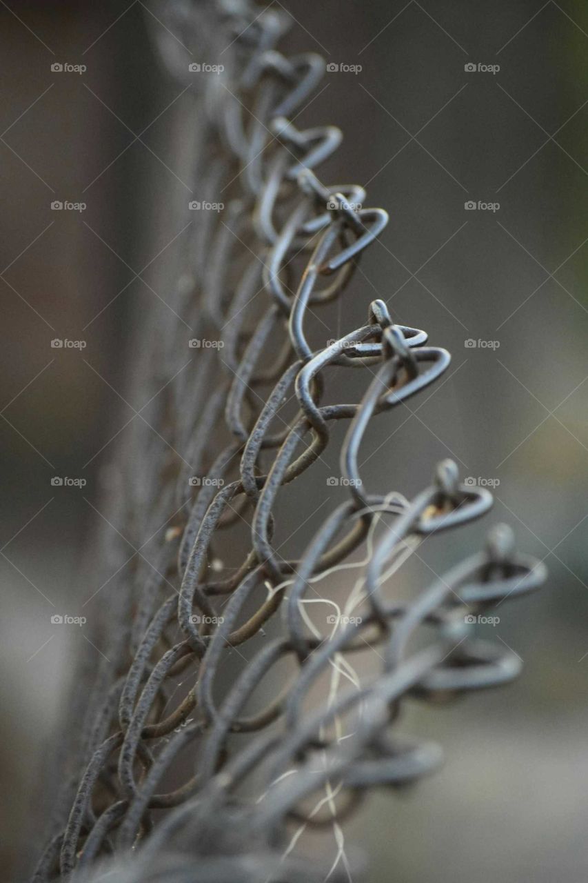 Close-up of a fence