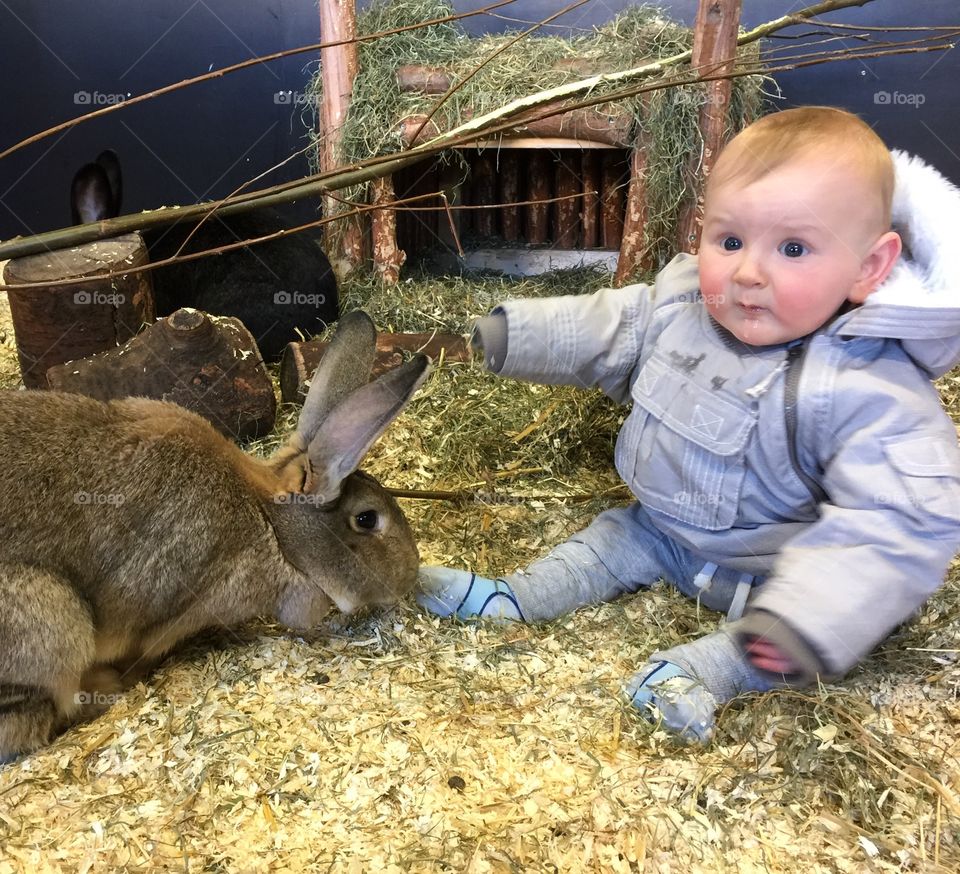 Cute boy sitting near the rabbit