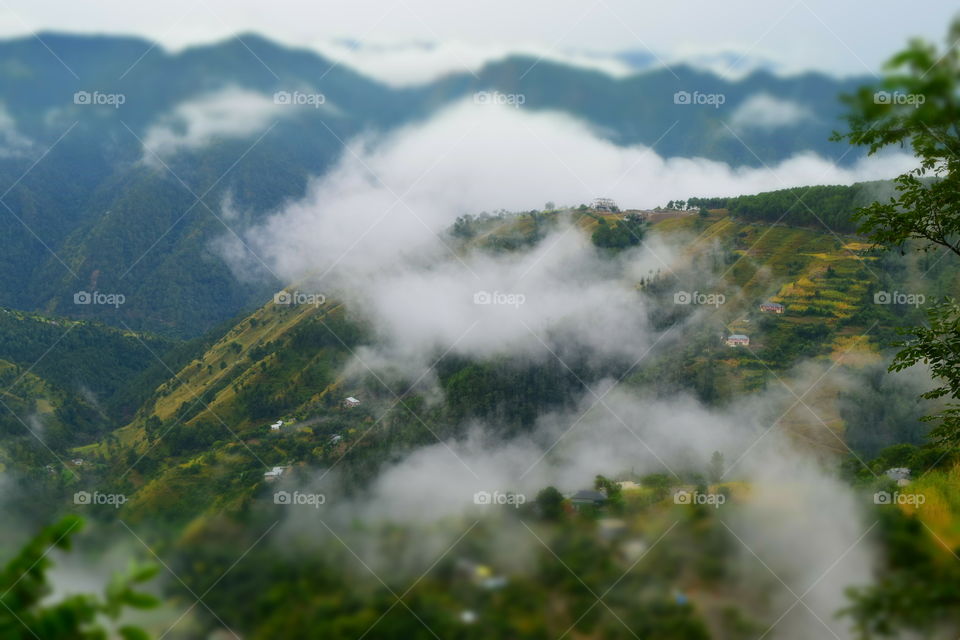 Living in the clouds. A scenery of a hill surrounded completely by the clouds as seen from a hill above it