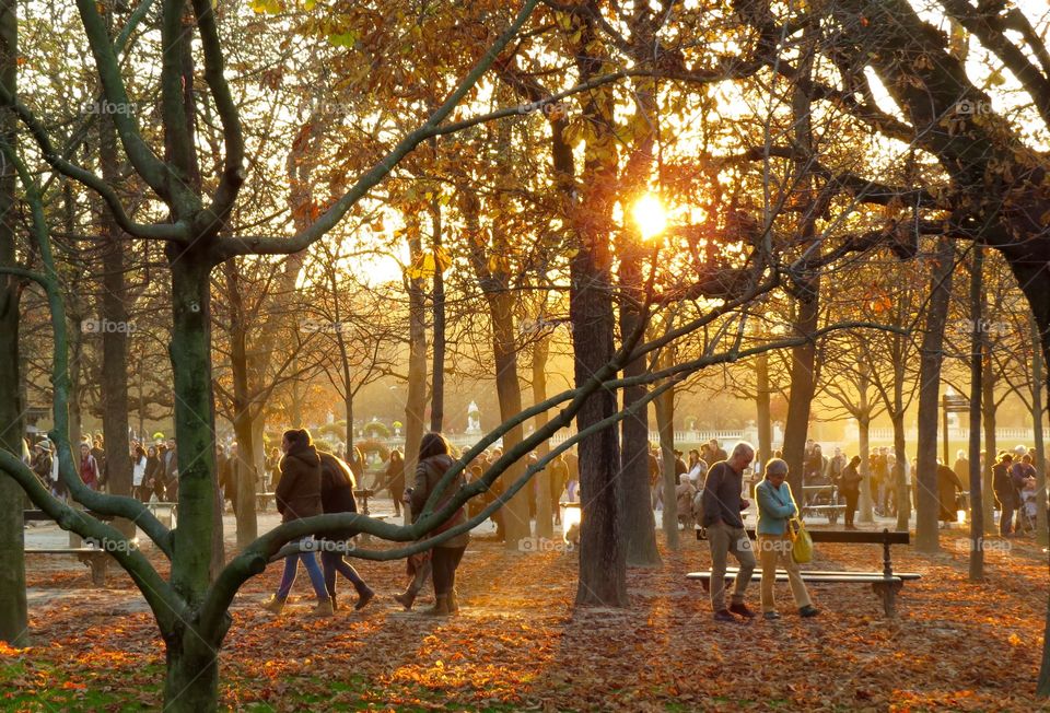 Strolling through the Luxembourg Gardens, Paris