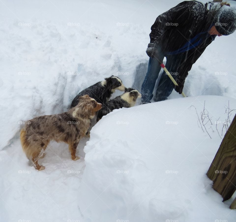 Man in winter digging with shovel