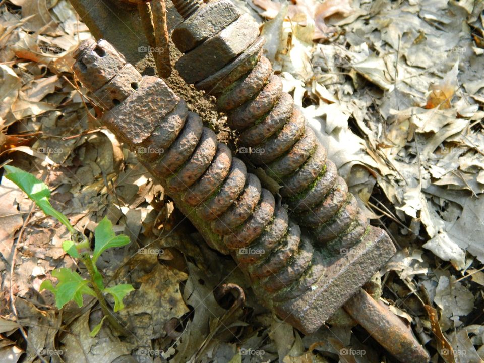 rusty Springs