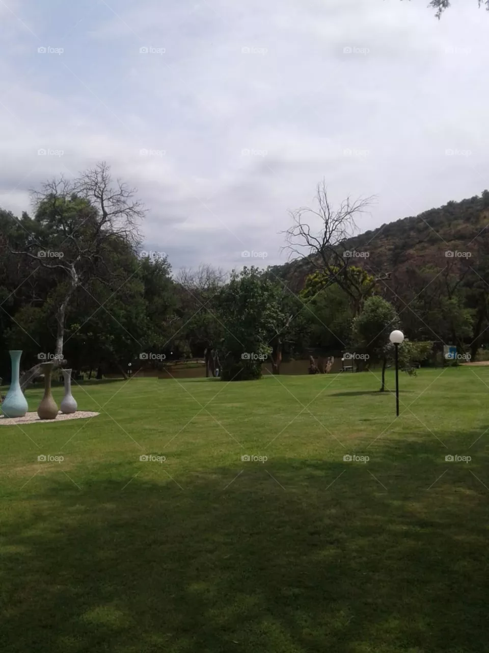 Beautiful garden