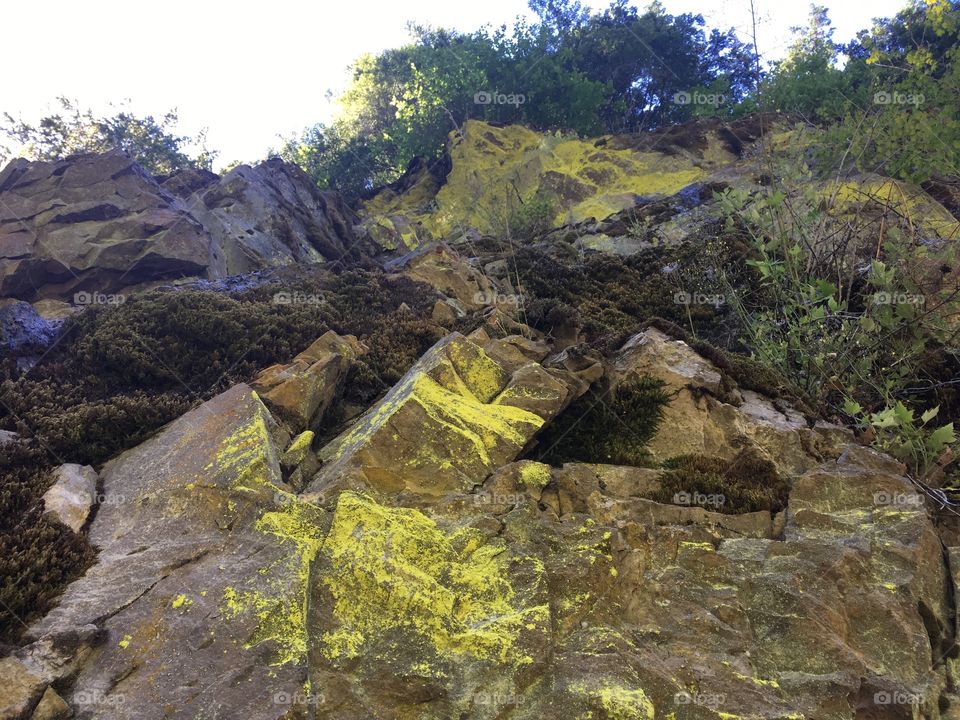 Yellow rock face 