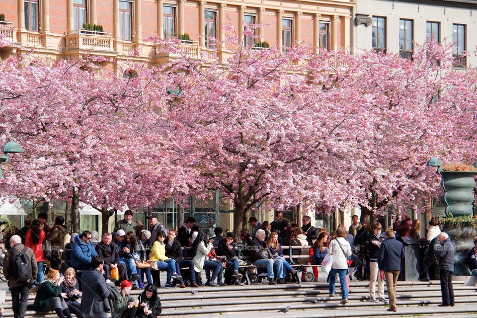 Spring in Stockholm