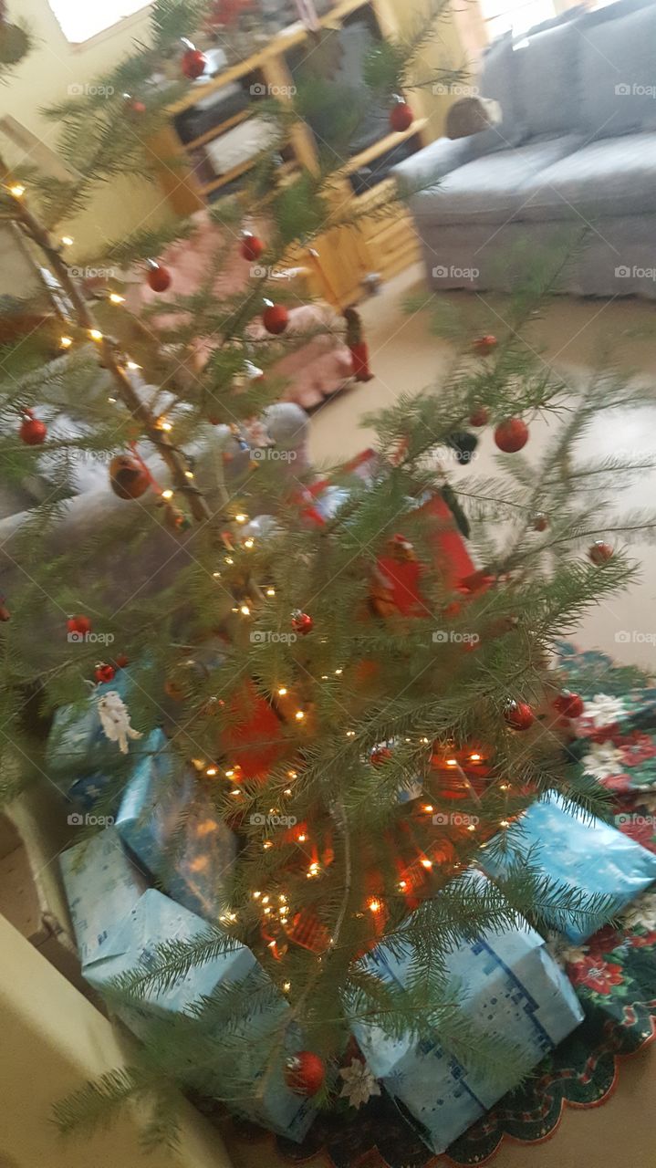 Christmas, Winter, Celebration, Decoration, Tree
