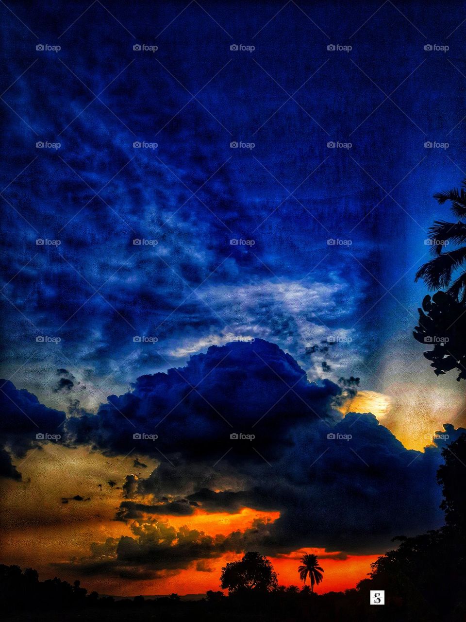 Sky. cloud. dark cloud. tree. colors.