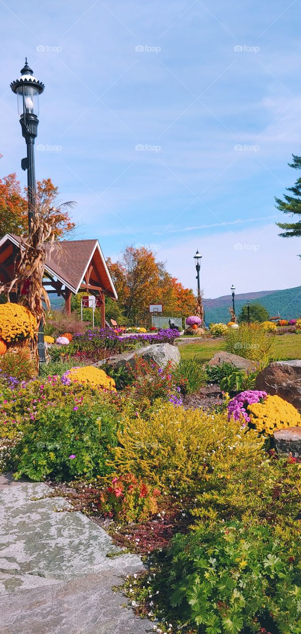 An Adirondack Park in Autumn!