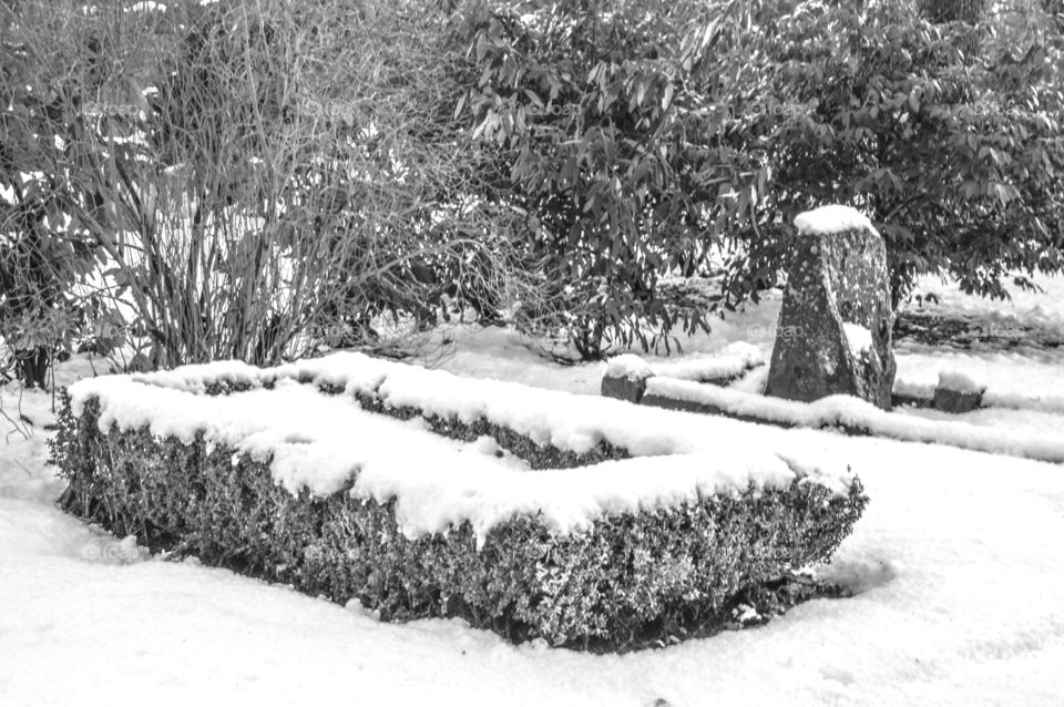 Grave Under Snow In Black And White