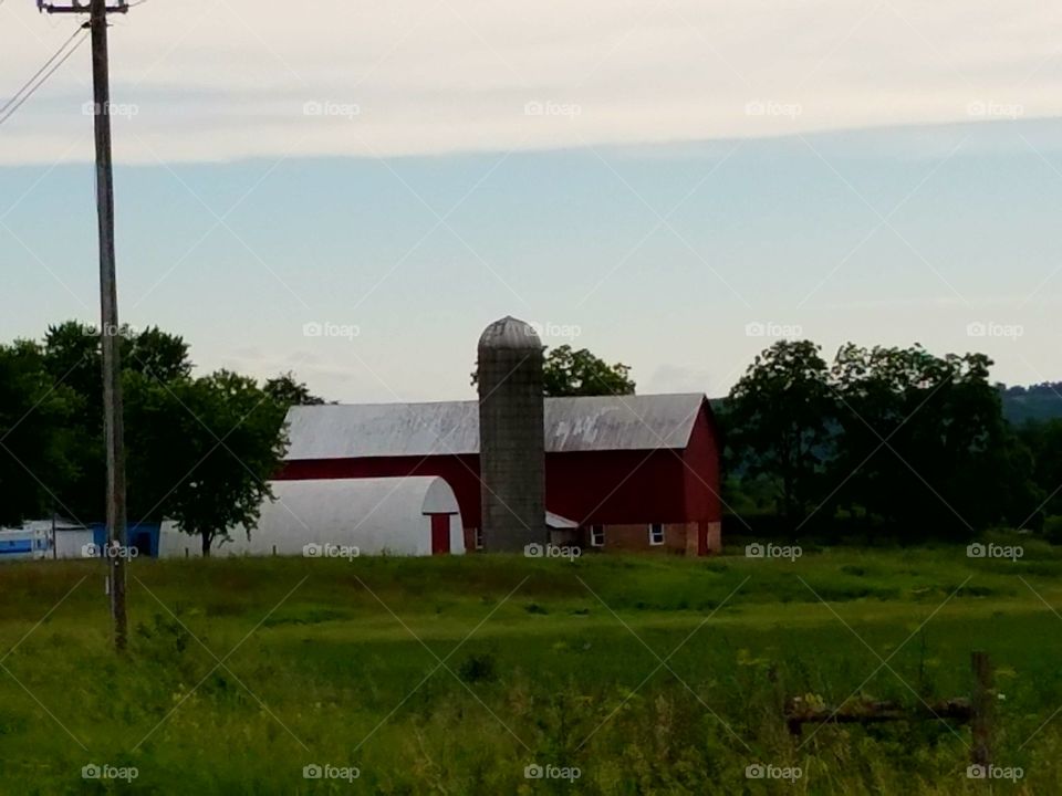 Driving the Back Roads and enjoying everything around us