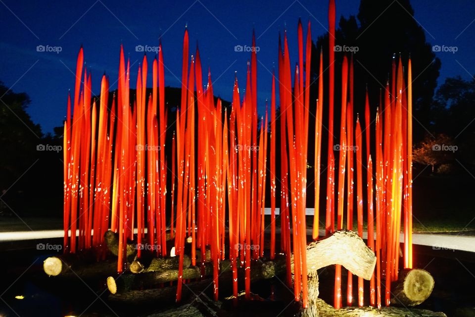 A Dale Chihuly glass sculpture on display at the New York Botanical Garden. Vibrant red and flame like against the night sky. 