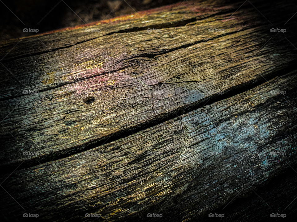 M+T carved in the log