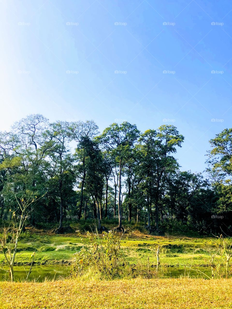 Best place to hangouts 