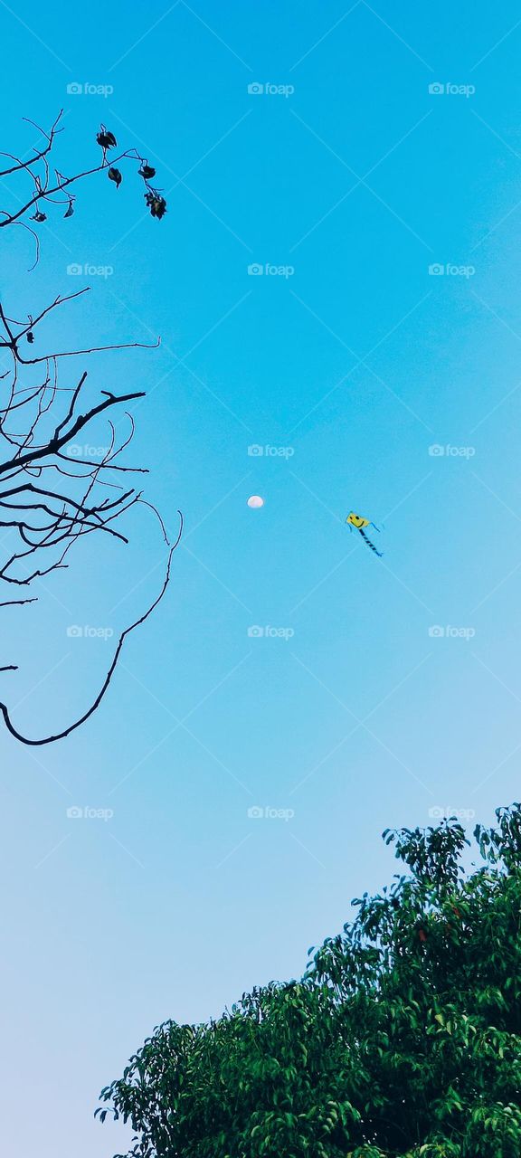 What's that doing here?