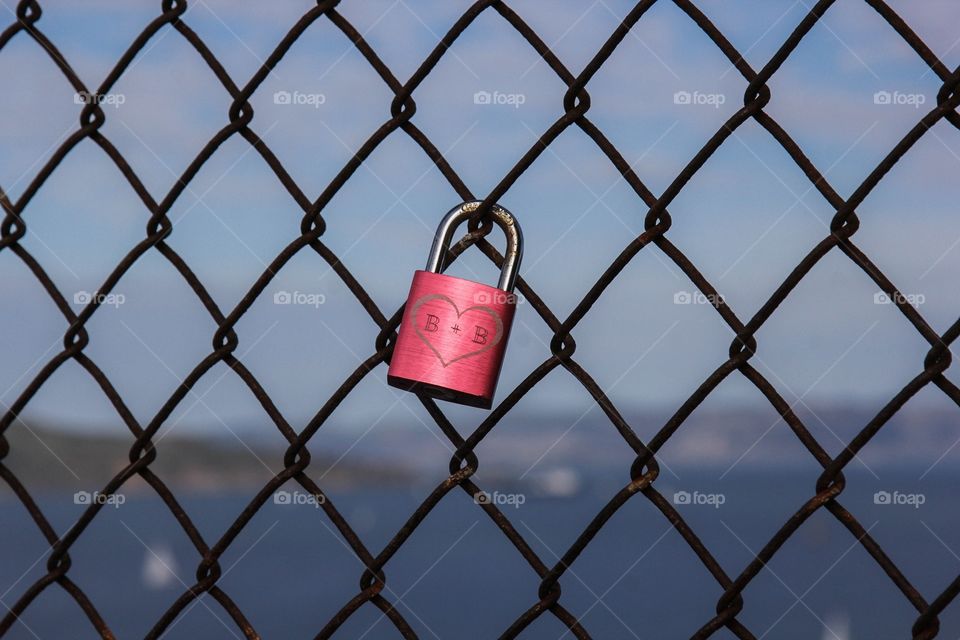 Fence, Web, Security, Jail, Wire