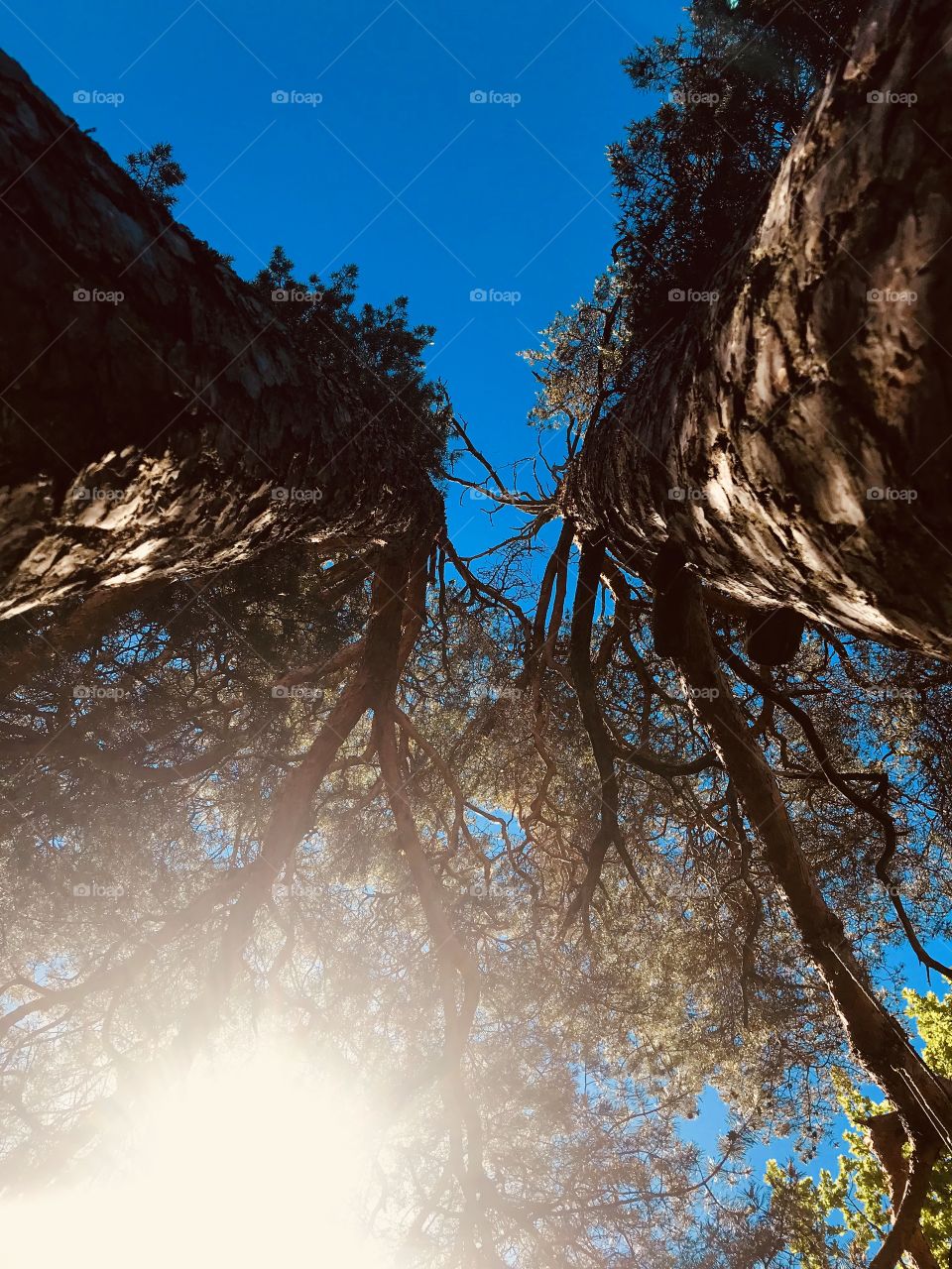 Had to go out and take some photos on this lovely day