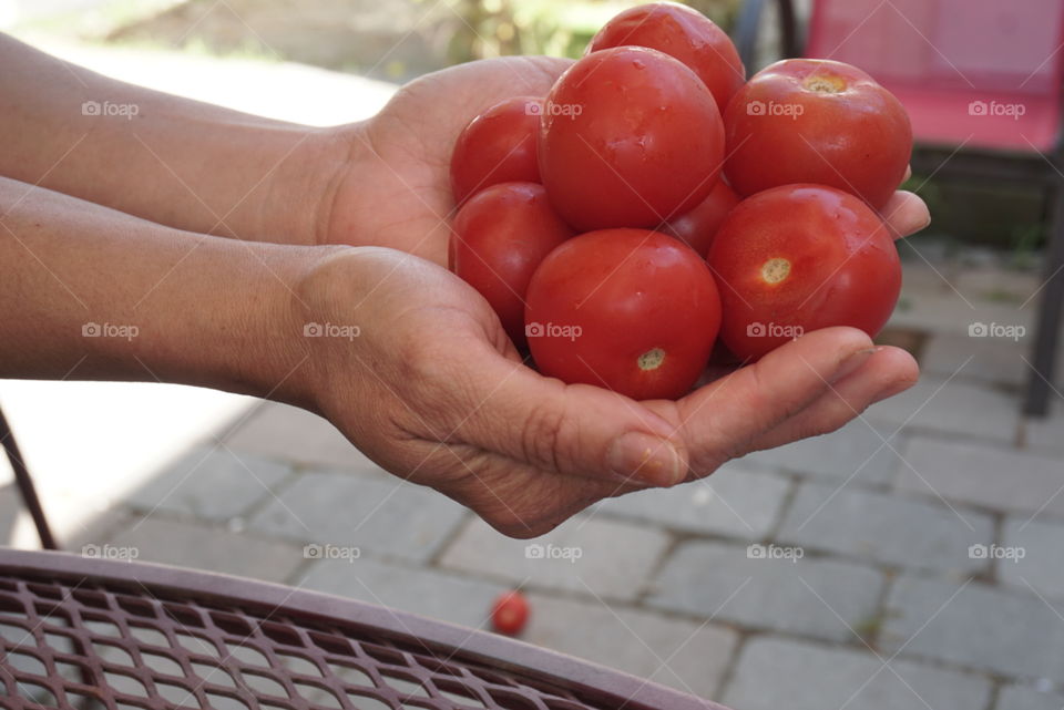 Healthy Foods