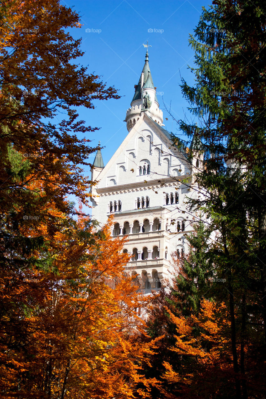 Close-up of schloss neuschwanstein