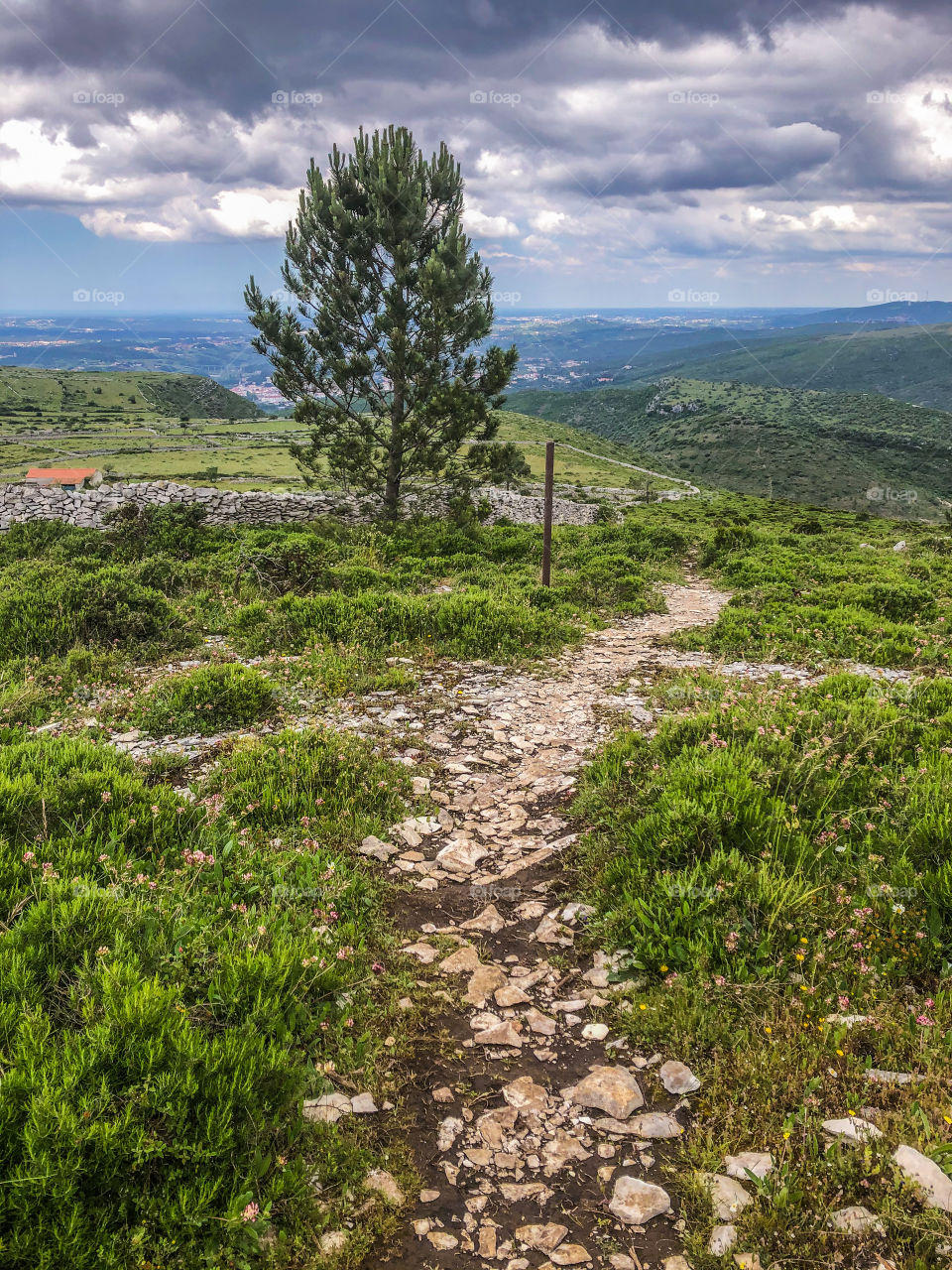 Stone path in the Fórnea area, Porto de Mòs, Portugal - May 2020