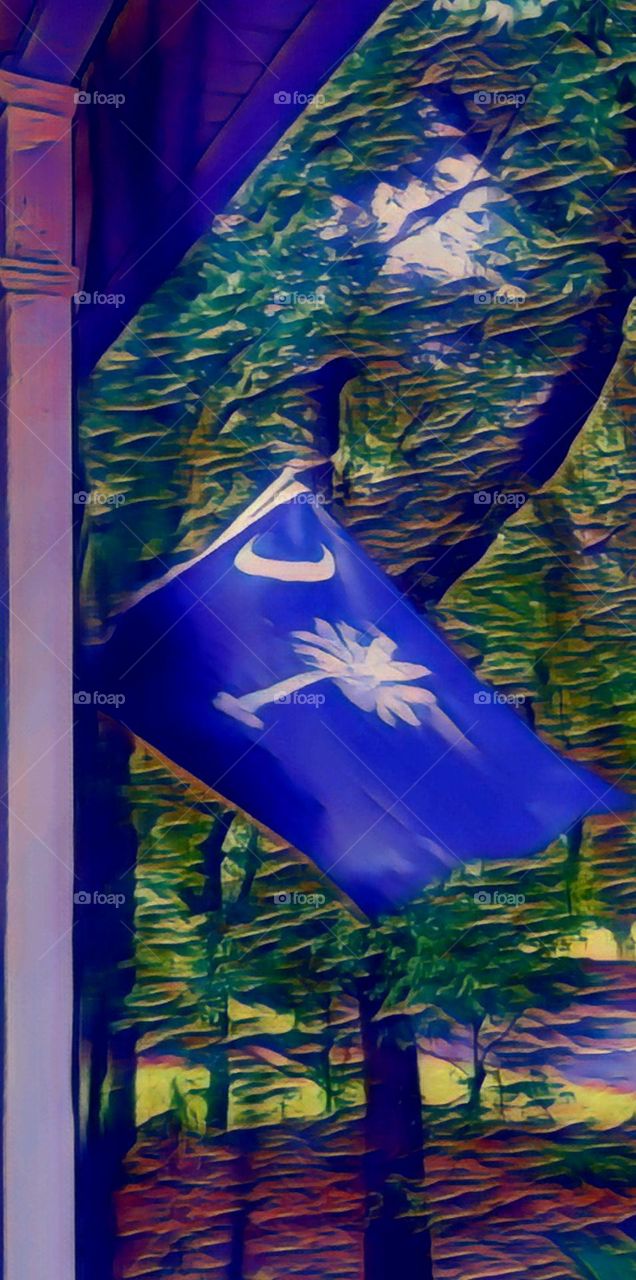 South Carolina flag blowing in the breeze