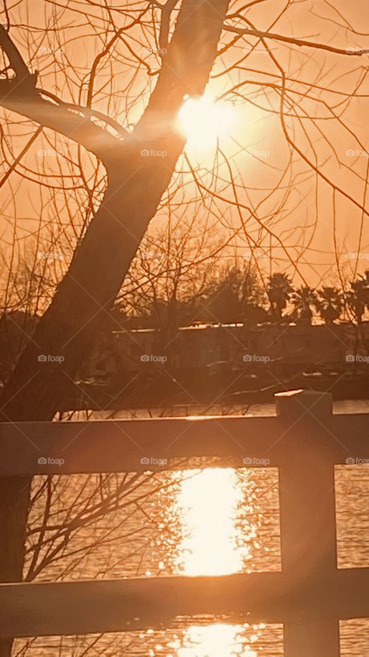 Afternoon, Early Evening sun in s power position. Can’t look at this fiery Yellow ball for more than s second. 