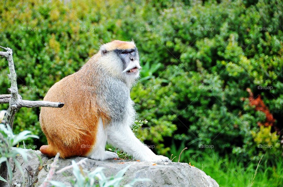 Life is so easy pretty 