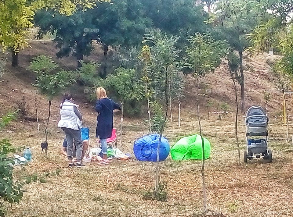 on a picnic на пикнике