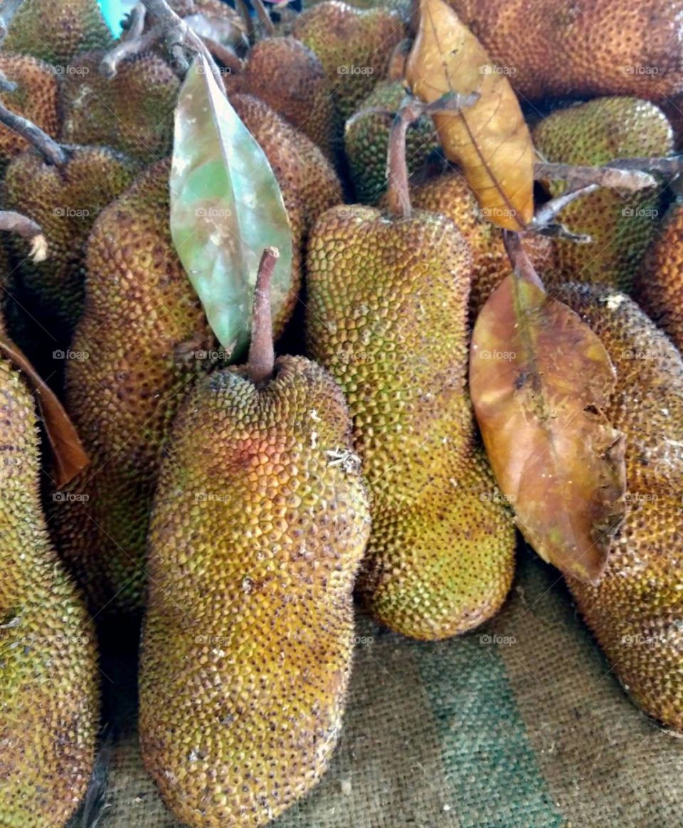 Champedak Fruit. Excotic fruit, Tropical fruit.