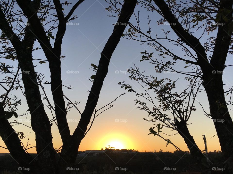 🇺🇸 Among trees, the beautiful sun says goodbye after another day of life.  That nature inspires us in this daily toil… / 🇧🇷 Entre árvores, despede-se o sol tão bonito depois de mais um dia de vida. Que a natureza nos inspira nesta labuta diária…