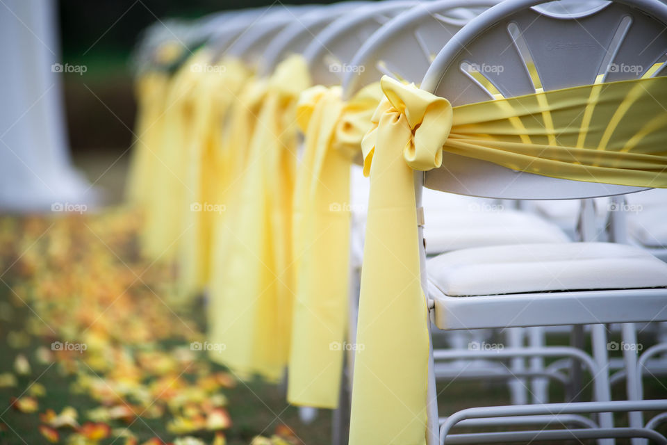 White Ceremony Chairs with Yellow Bows and yellow Ribbons