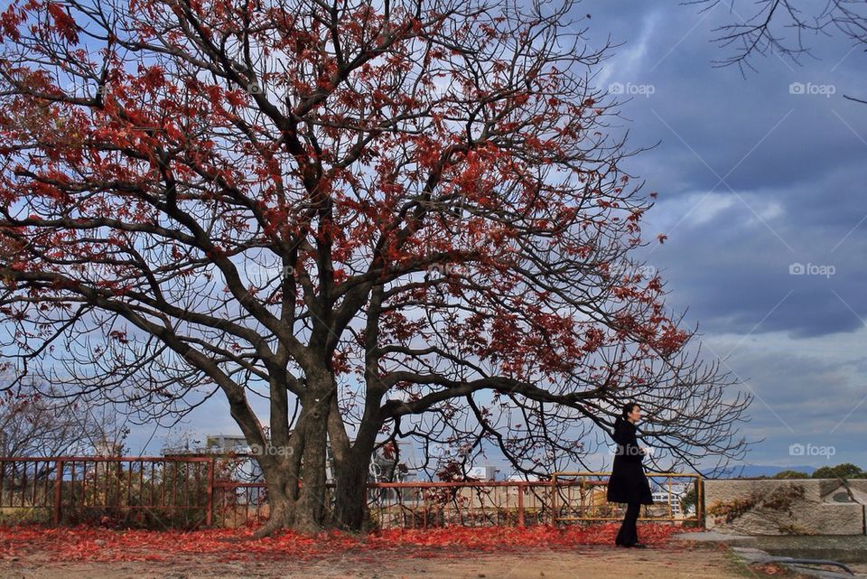 A lady in black and a red tree