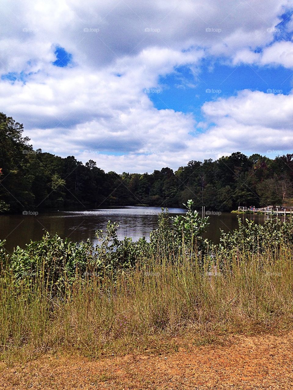 Pretty Clouds over the Pond
