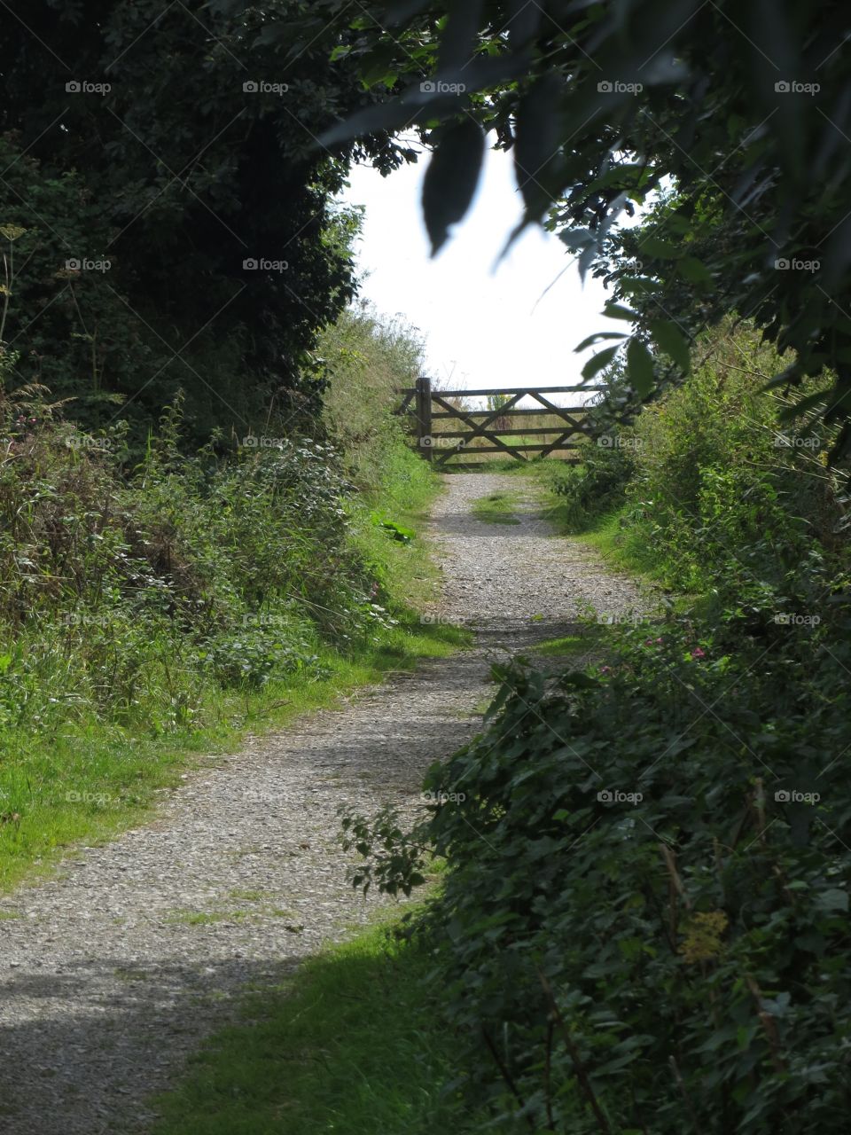 Path