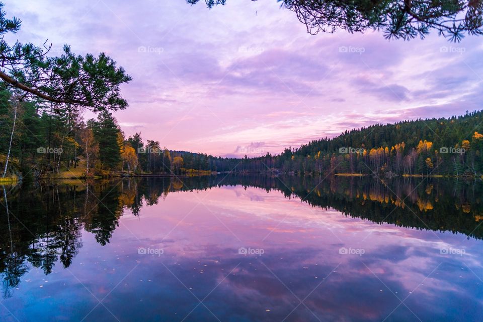 Steinbruvann, Oslo, Norway 